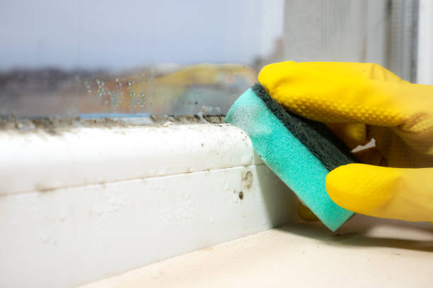 Kennesaw State University, GA Mold Removal Company